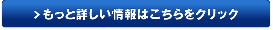スクラム トラック販売サイトへ